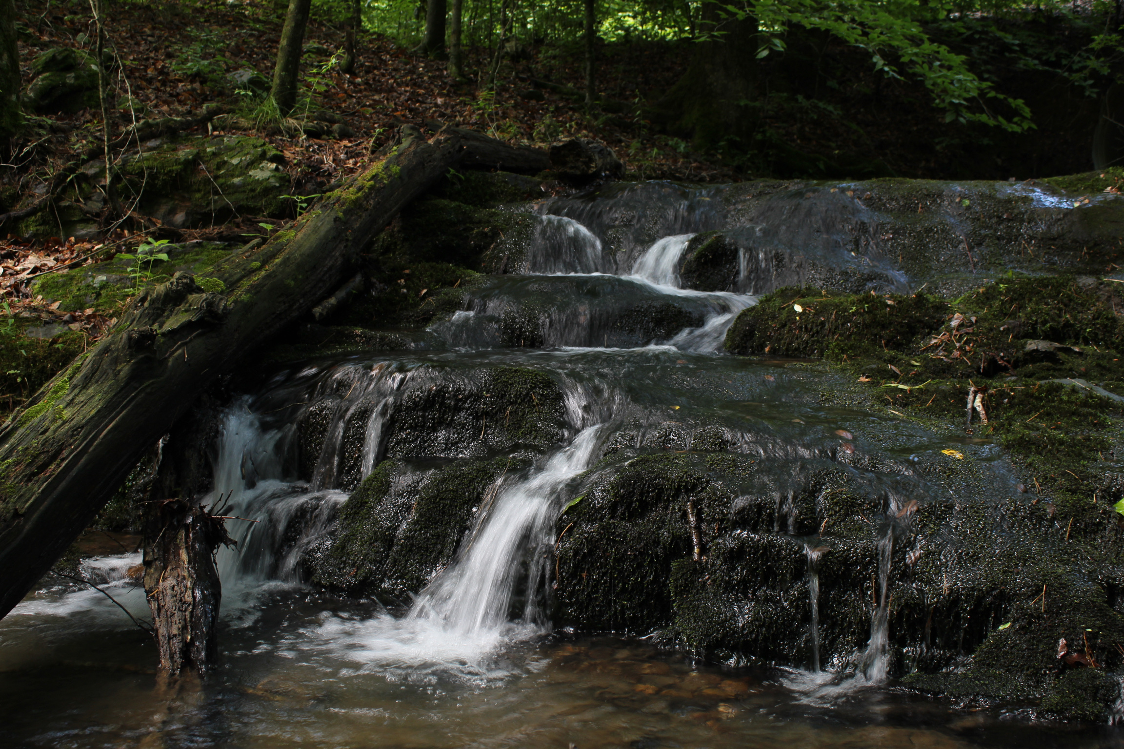 Living Water